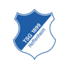 TSG Hoffenheim